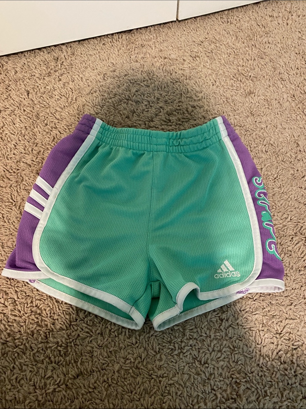 adidas Mint Green and Purple Mesh Sport Shorts